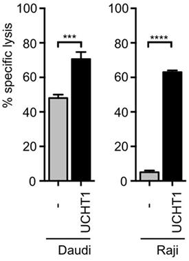 Anti-CD3 Fab Fragments Enhance Tumor Killing by Human γδ T Cells Independent of Nck Recruitment to the γδ T Cell Antigen Receptor